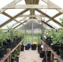 Screenshot-2025-10-14-at-3.02.45-PM