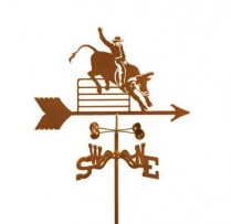 Bull-Rider-WV