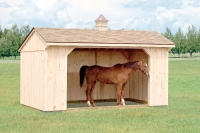 run_in_shed_2
