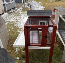 Single Rabbit Hutch w/ Litter Tray