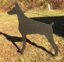 Doberman