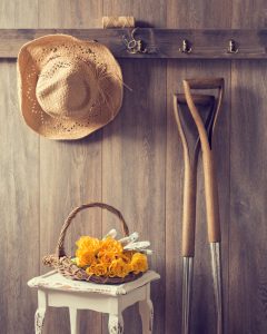 shed-240x300  