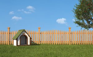 dogkennelhouse-300x184  