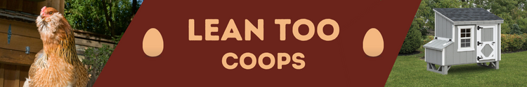 Lean-Too-Coops  