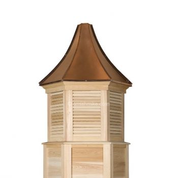 albany-cypress-350x350  