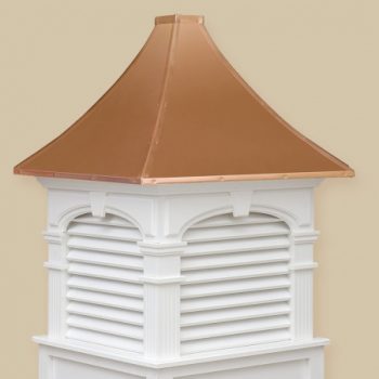 alexander-large-350x350  