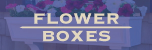 SO-Flower-Boxes-Button-300x100  